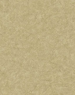 Обои Carl Robinson Edition 17 - Loft CR81215