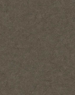 Обои Carl Robinson Edition 17 - Loft CR81216