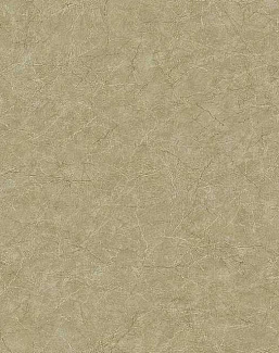 Обои Carl Robinson Edition 17 - Loft CR81217
