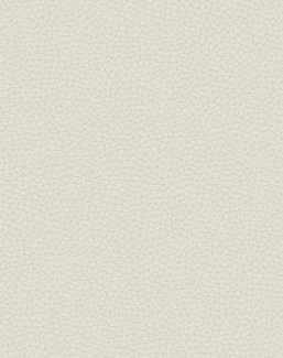 Обои Carl Robinson Edition 17 - Loft CR83001
