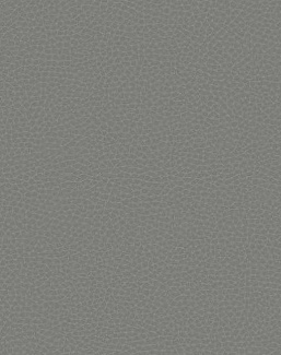 Обои Carl Robinson Edition 17 - Loft CR83002