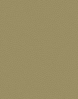 Обои Carl Robinson Edition 17 - Loft CR83005