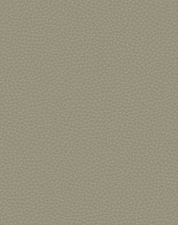 Обои Carl Robinson Edition 17 - Loft CR83006