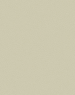 Обои Carl Robinson Edition 17 - Loft CR83007