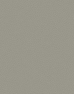 Обои Carl Robinson Edition 17 - Loft CR83008