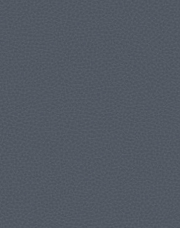 Обои Carl Robinson Edition 17 - Loft CR83012