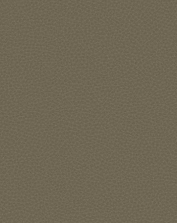 Обои Carl Robinson Edition 17 - Loft CR83016