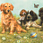Бордюр York Kids vol 4 YK0119BD