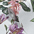Обои Marburg Flora 47458