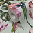 Обои Marburg Flora 47459