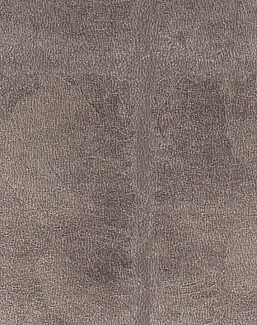 Обои Yana Svetlova Wallcoverings Gold Leaf 19-1260