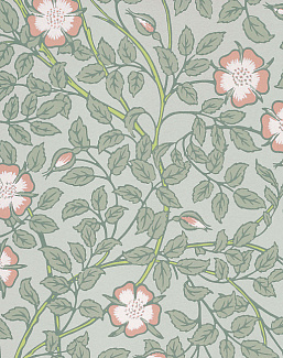 Обои Little Greene National Trust Papers III 0263BRSALIX