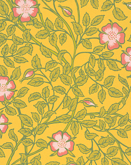 Обои Little Greene National Trust Papers III 0263BRINDIA