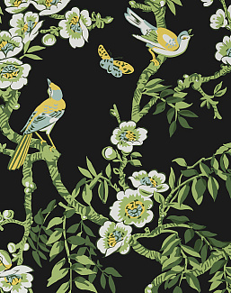Обои Thibaut Eden T20845