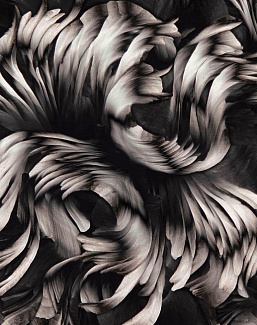 Панно и фотообои Wall & Deco Contemporary Wallpaper Collection 2023 WDAC2301