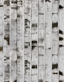 Панно и фотообои Rebel Walls No 9 Home R15221