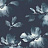 Обои York Candice Olson - Tranquil SO2470