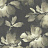 Обои York Candice Olson - Tranquil SO2471