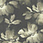Обои York Candice Olson - Tranquil SO2471
