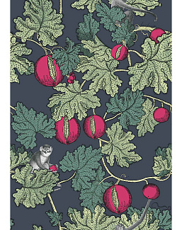 Обои Cole & Son Fornasetti Senza Tempo 114/1001