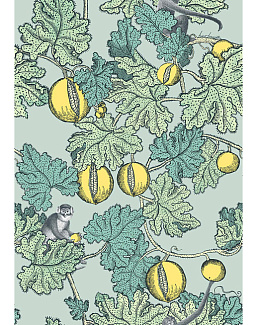 Обои Cole & Son Fornasetti III 114/1002