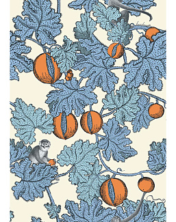 Обои Cole & Son Fornasetti Senza Tempo 114/1003
