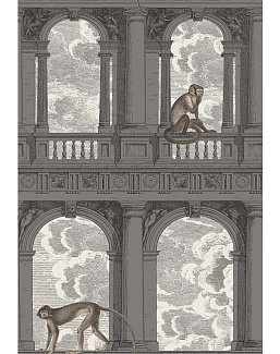 Обои Cole & Son Fornasetti Senza Tempo 114/8016