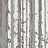 Обои York Candice Olson - Terrain COD0564