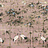 Панно и фотообои Coordonne Random Chinoiseries 7900002N