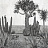 Панно и фотообои Coordonne Random Chinoiseries 7900142N
