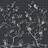 Панно и фотообои Coordonne Random Chinoiseries 7900052V