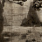 Панно и фотообои Coordonne Random Chinoiseries 7900192V