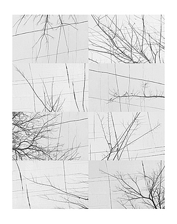 Панно и фотообои Wall & Deco Collection 2017 WDBH1701