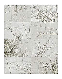 Панно и фотообои Wall & Deco Collection 2017 WDBH1702
