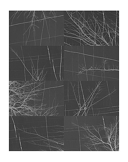 Панно и фотообои Wall & Deco Collection 2017 WDBH1703