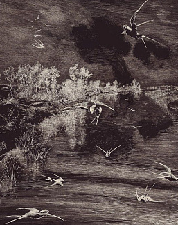 Панно и фотообои Eijffinger Geonature 366100