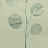 Ткань Galleria Arben Intermezzo FLORESCENCE 01 CELADON