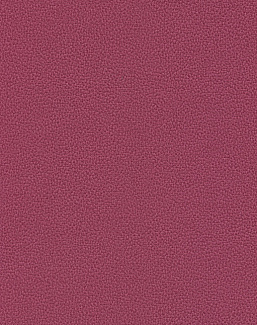 Обои Texdecor Acoustic Vinyl Wallcoverings DNE90230942