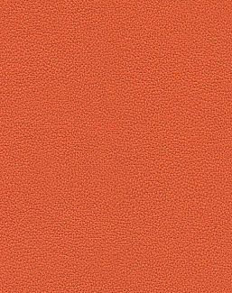 Обои Texdecor Acoustic Vinyl Wallcoverings DNE90238106