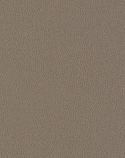 Обои Texdecor Acoustic Vinyl Wallcoverings DNE90239612