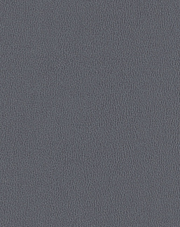 Обои Texdecor Acoustic Vinyl Wallcoverings DNE90231117