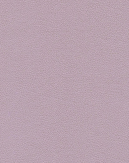 Обои Texdecor Acoustic Vinyl Wallcoverings DNE90230901