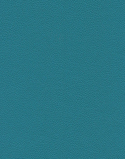 Обои Texdecor Acoustic Vinyl Wallcoverings DNE90230501