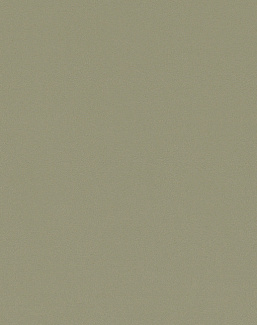Обои Texdecor Acoustic Textile Wallcoverings EOSC91040442