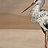 Панно и фотообои Coordonne Naturae 9500301V