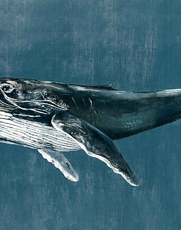 Панно и фотообои Coordonne Naturae 9500101V