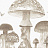 Панно и фотообои Coordonne Random Kids 9700012