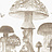 Панно и фотообои Coordonne Random Kids 9700012