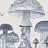 Панно и фотообои Coordonne Random Kids 9700013