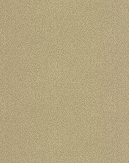 Обои Chelsea Decor Vision DL22827
